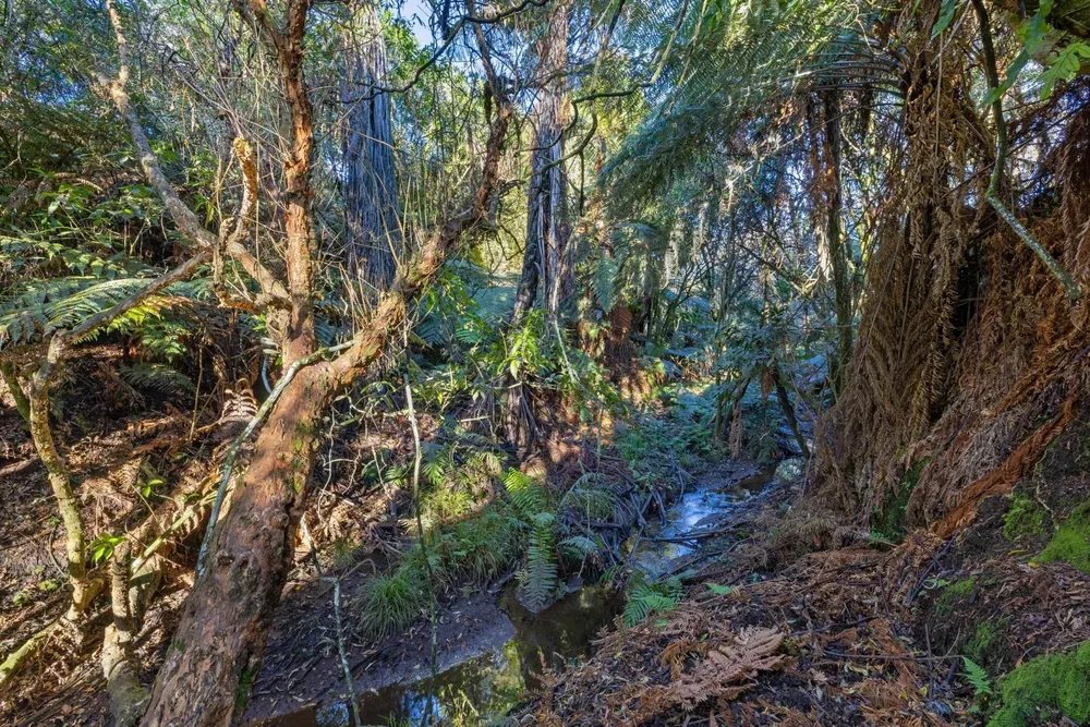 Photos of Unit 3, 957 Taotaoroa Road