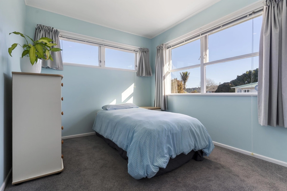 Photos of 21 Taupo Street
