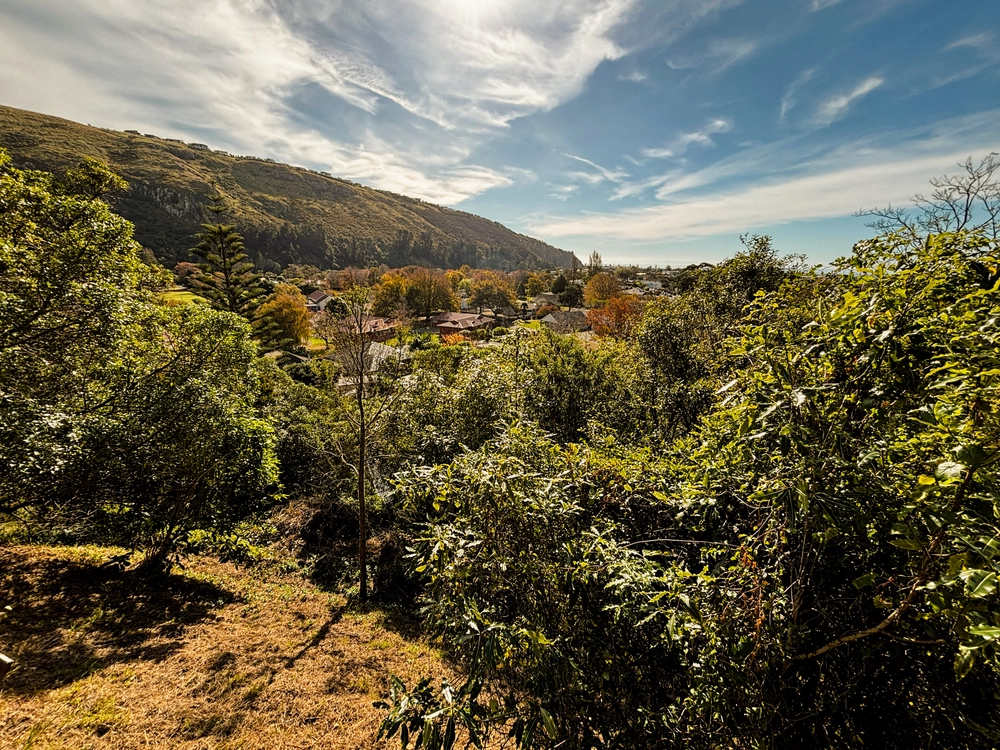 Photos of 101 Heberden Avenue