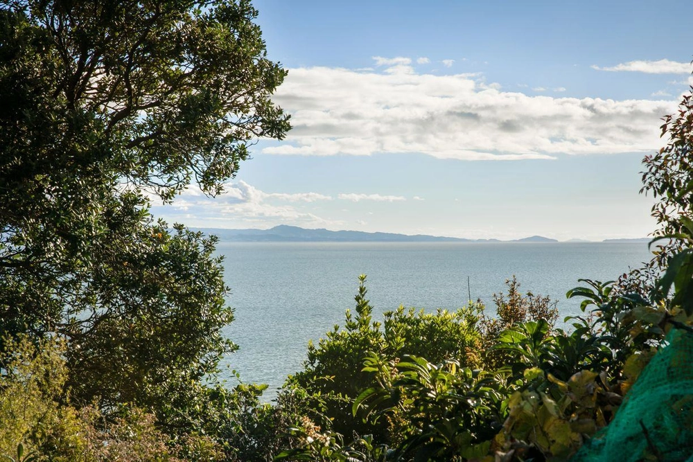 Photos of 642 Thames Coast Road