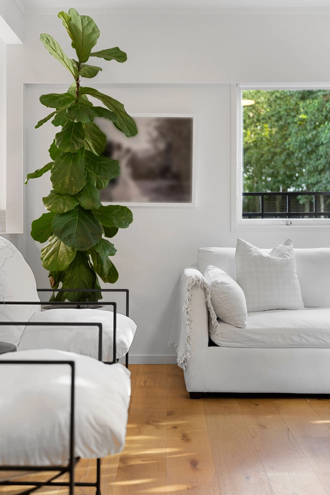 Photos of 16 Rangitoto Terrace