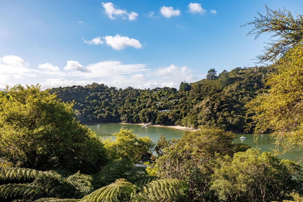 Photos of 1679 Kenepuru Road