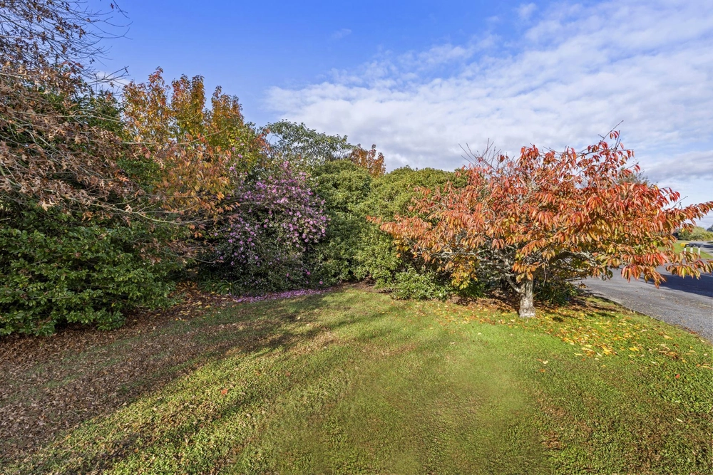 Photos of 46 Glen Ida Way