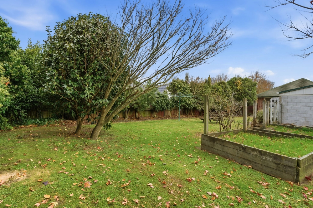 Photos of 50 Staveley Street