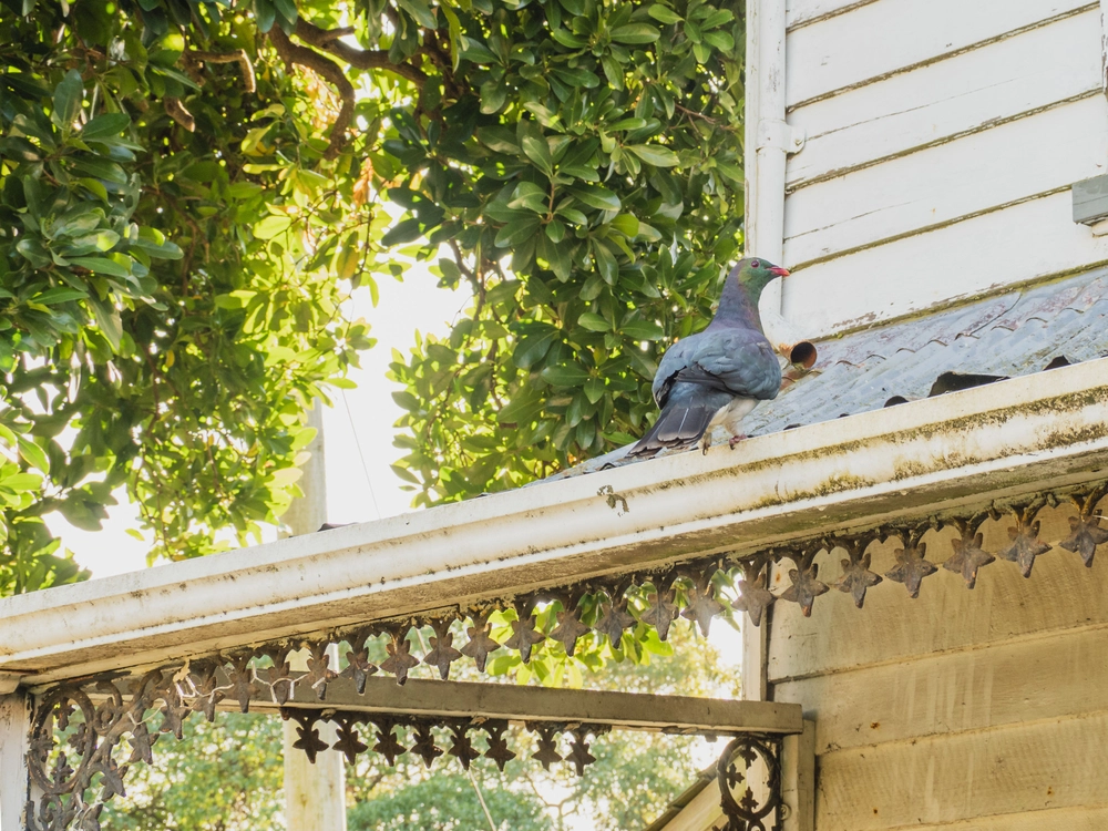 Photos of 11 Rue Balguerie