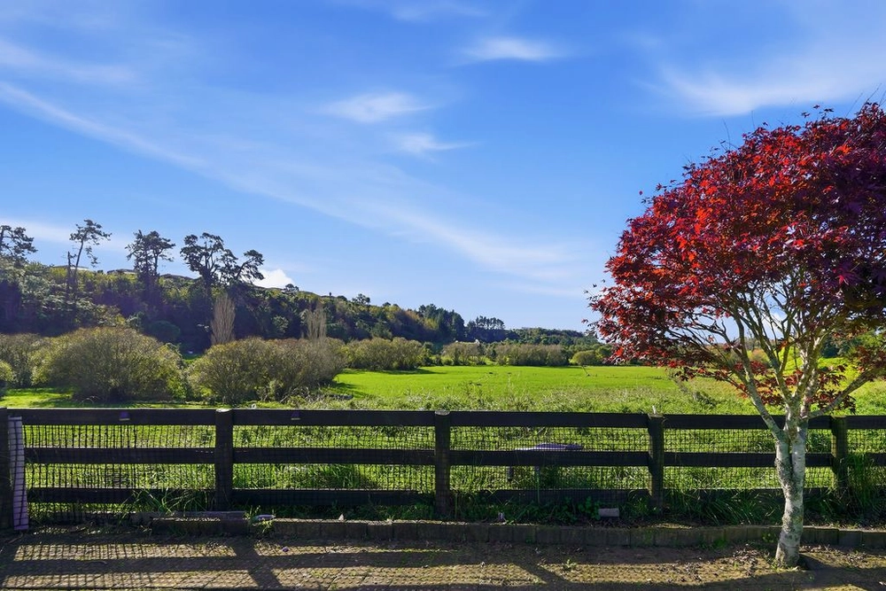 Photos of 19 WAIOROI PLACE