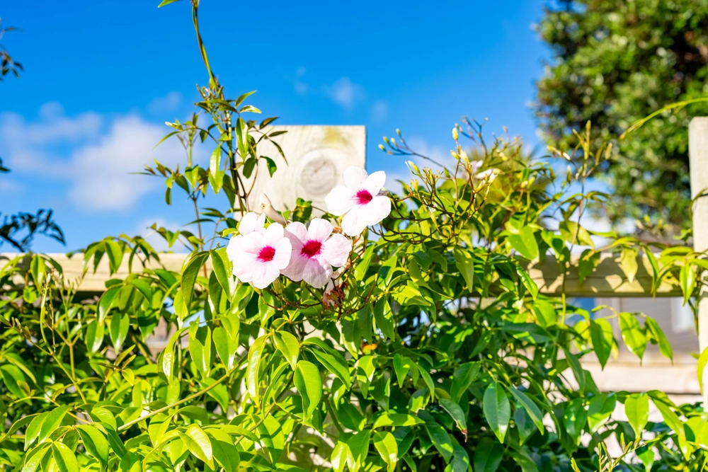 Photos of 6 Ngatiti Place
