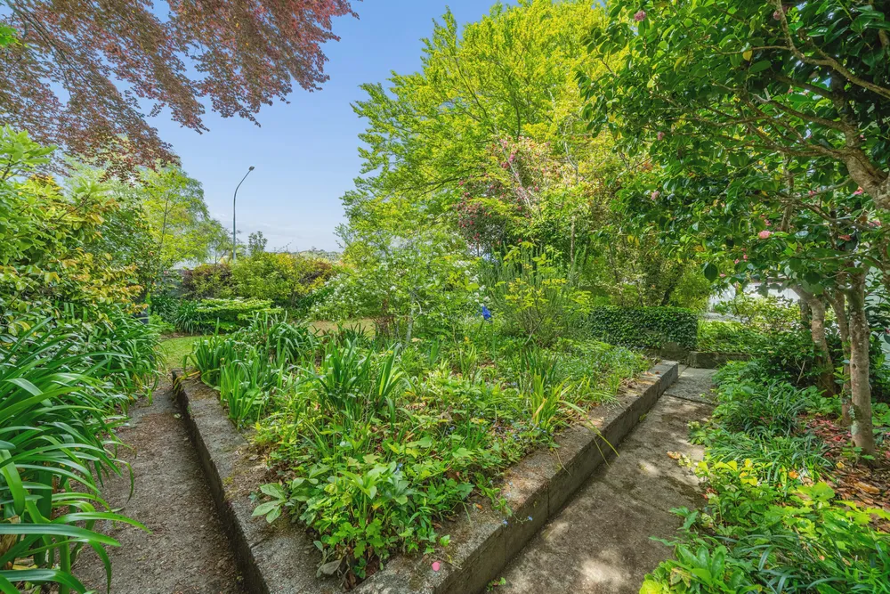 Photos of 361 Fergusson Drive