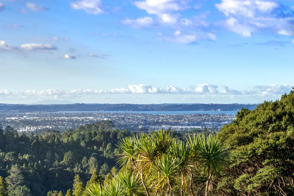 Photos of 27 Tui Crescent