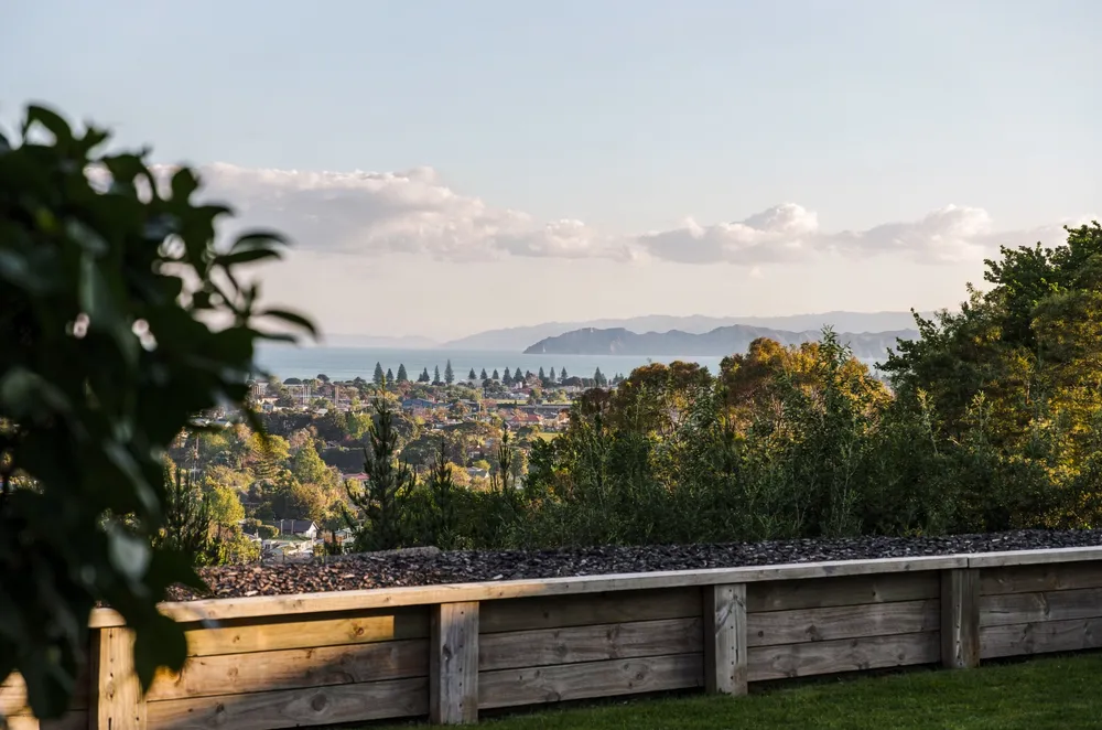 Photos of 49 Hillview Terrace