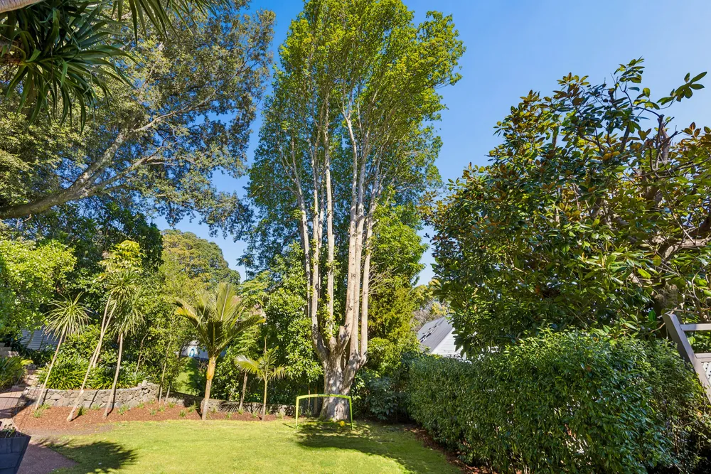 Photos of 16A Ngauruhoe Street