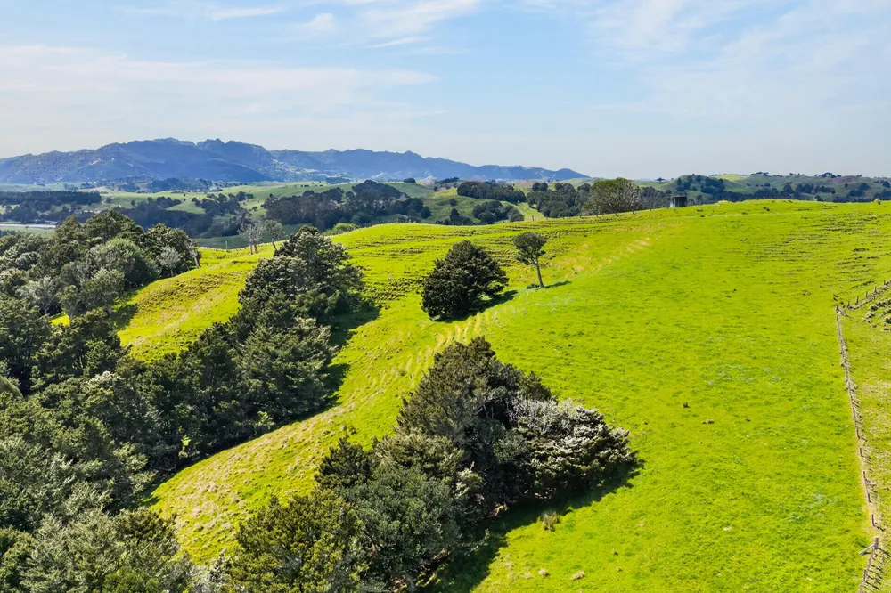 Photos of 1334 Pukehuia Road