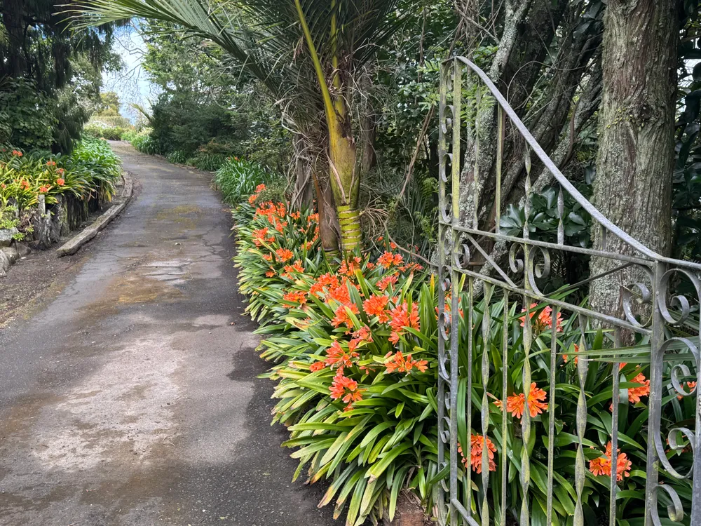 Photos of 37 Harry Dreadon Road