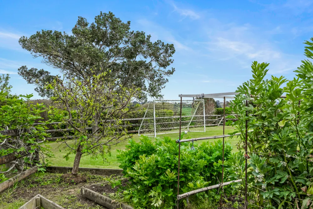 Photos of 290 Stoney Creek Road