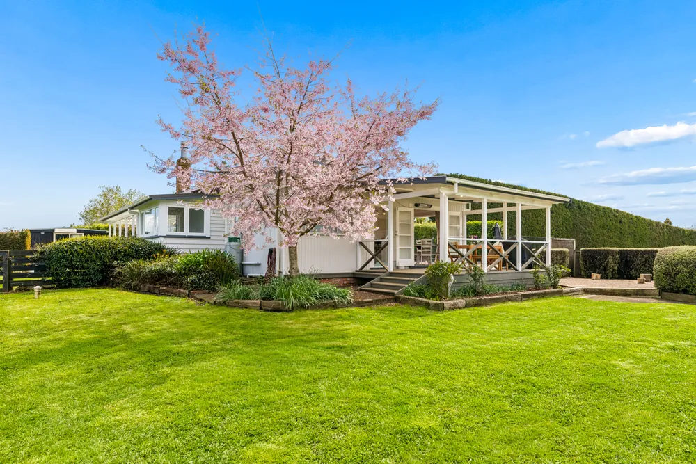 Photos of 78 Gatland Road
