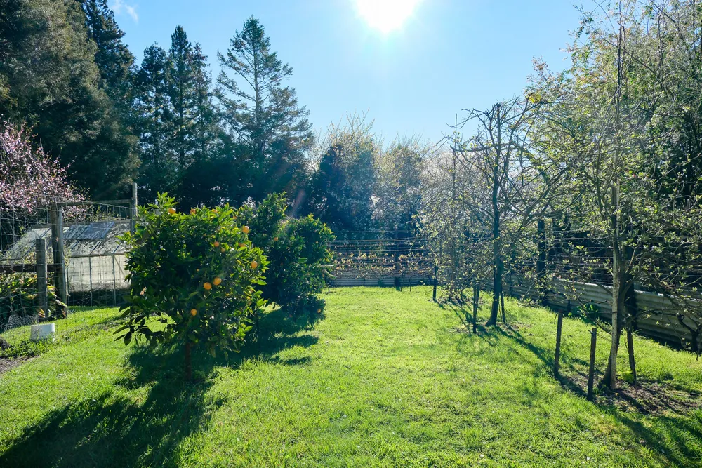 Photos of 442 Te Waerenga Road