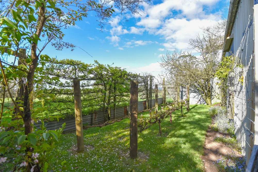 Photos of 442 Te Waerenga Road