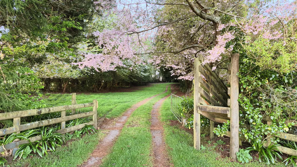Photos of 442 Te Waerenga Road