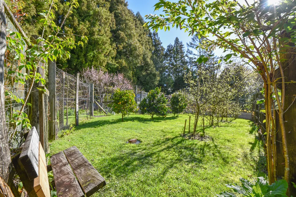 Photos of 442 Te Waerenga Road