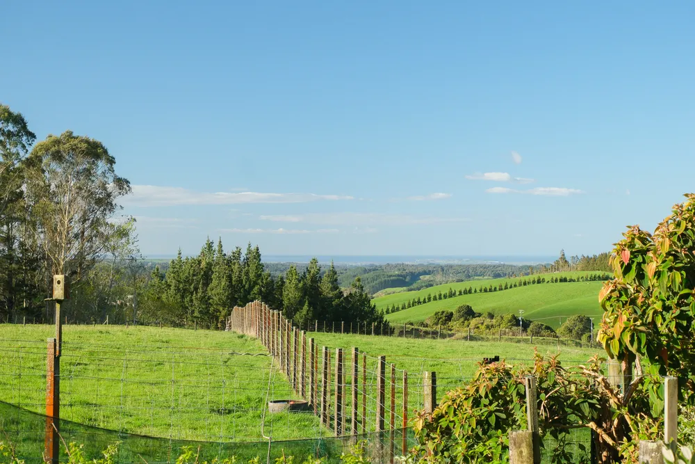 Photos of 442 Te Waerenga Road