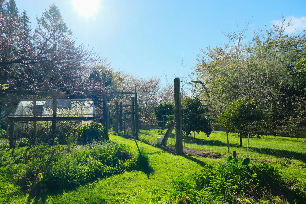 Photos of 442 Te Waerenga Road