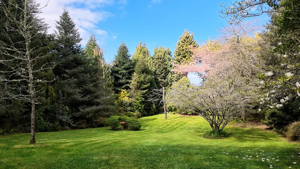 Photos of 442 Te Waerenga Road