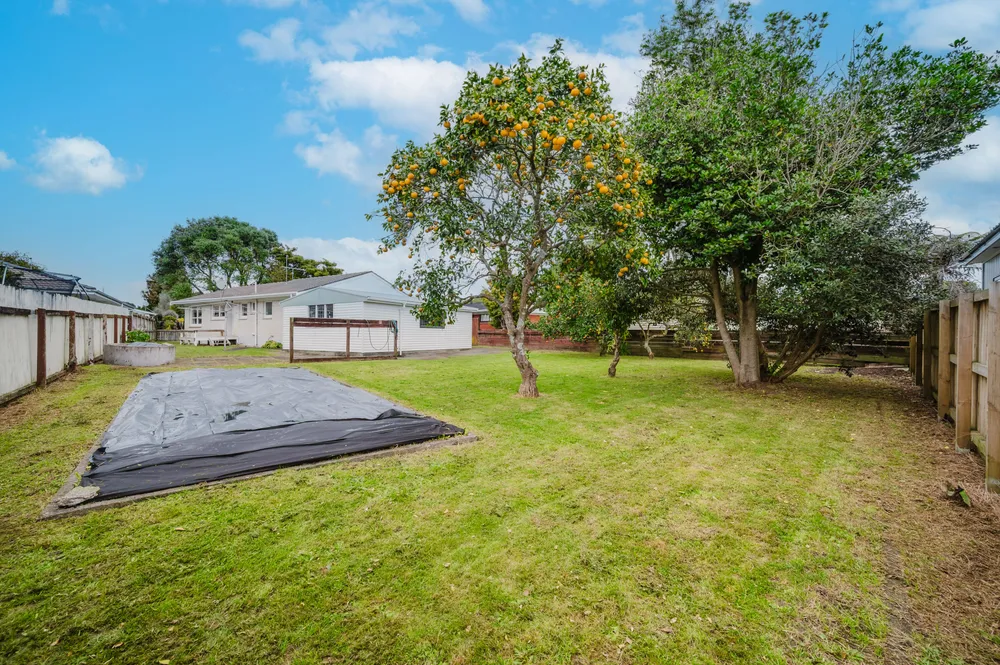Photos of 15 Taonui Street