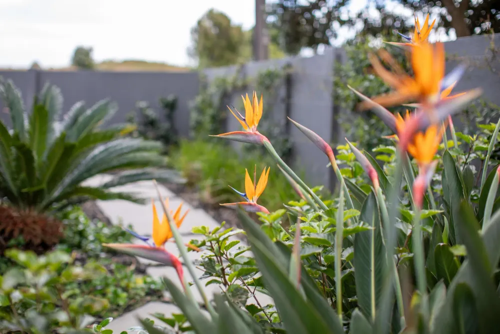Photos of 306 Papamoa Beach Road