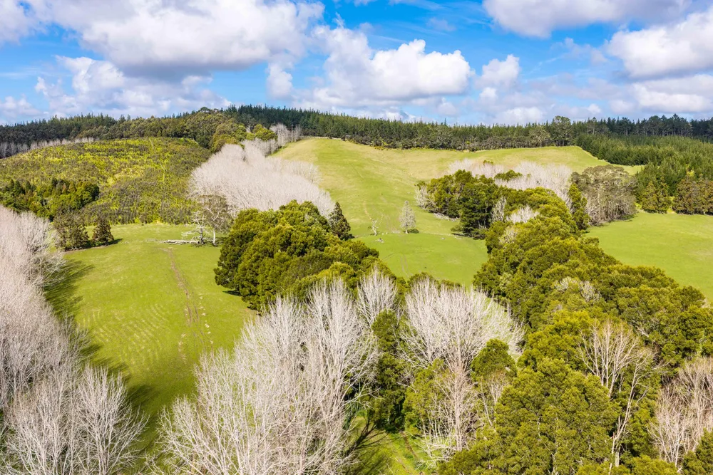 Photos of 229 Bald Hill Road