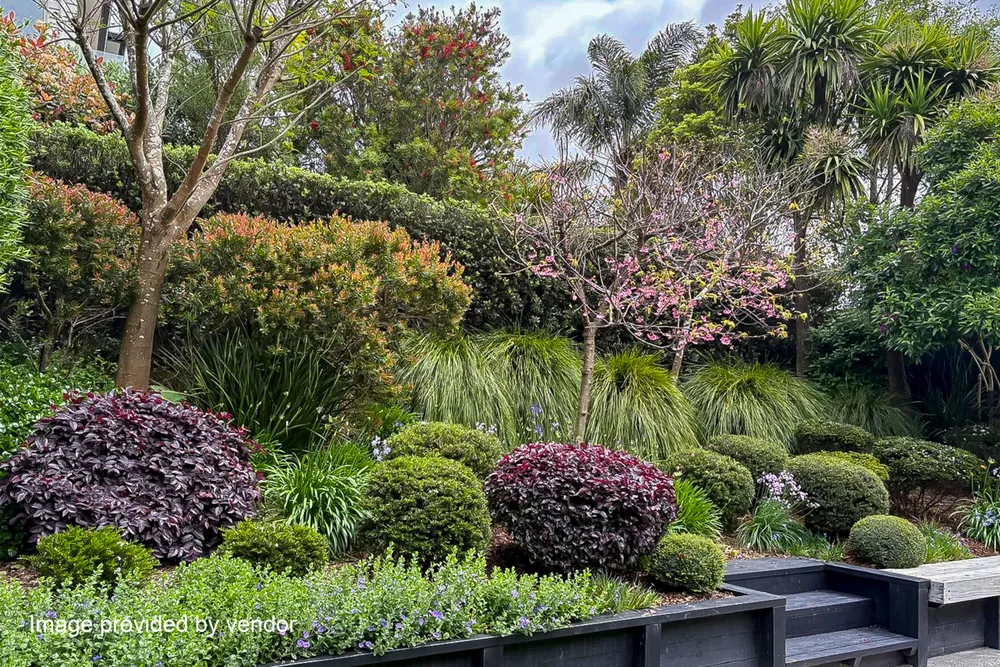 Photos of 5 Portland Park Road