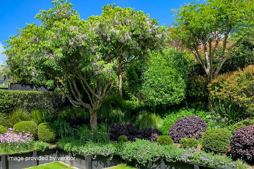 Photos of 5 Portland Park Road