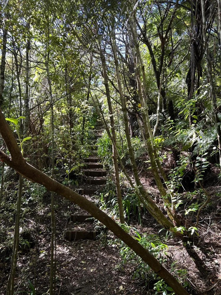 Photos of 66a Exploration Way