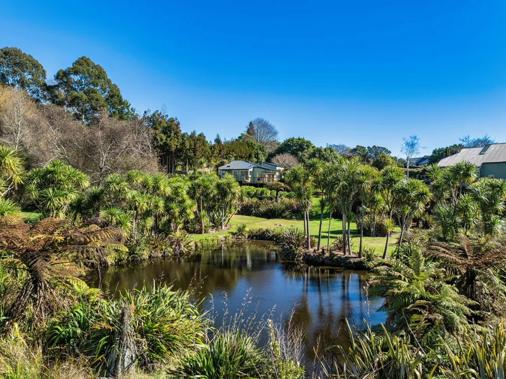 Photos of 36 Waikaraka Drive West