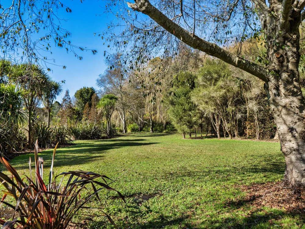 Photos of 36 Waikaraka Drive West