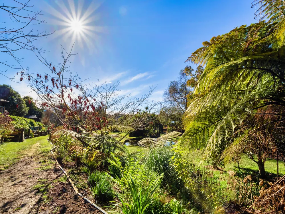 Photos of 36 Waikaraka Drive West