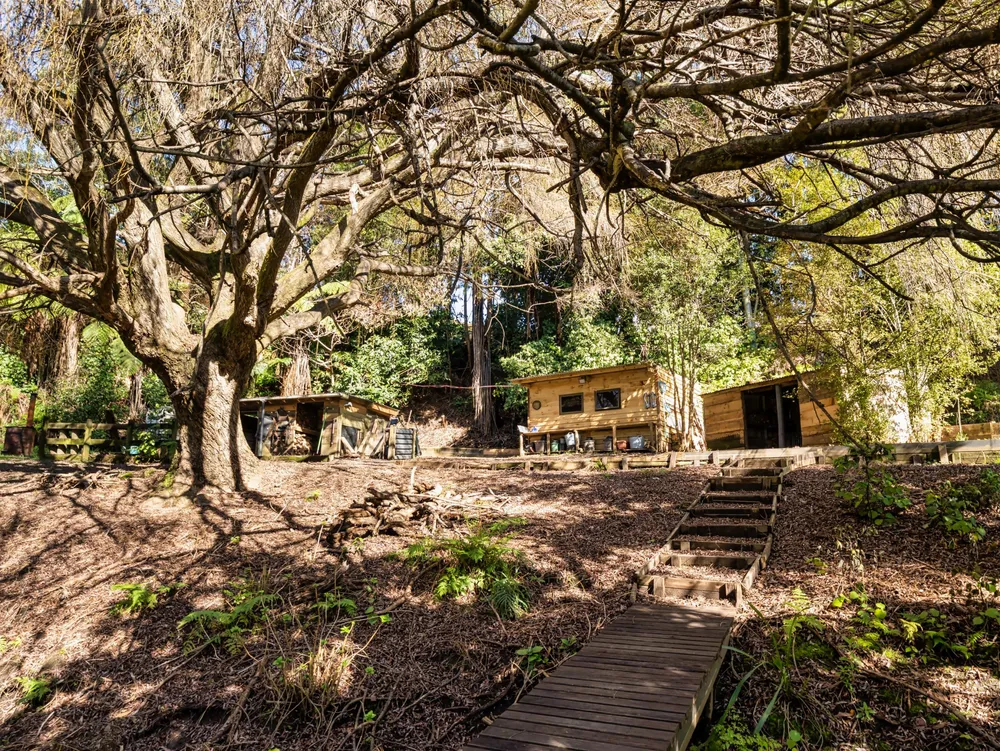 Photos of 36 Waikaraka Drive West