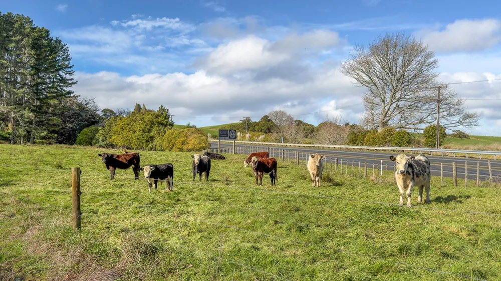 Photos of 435 Mangatawhiri Road