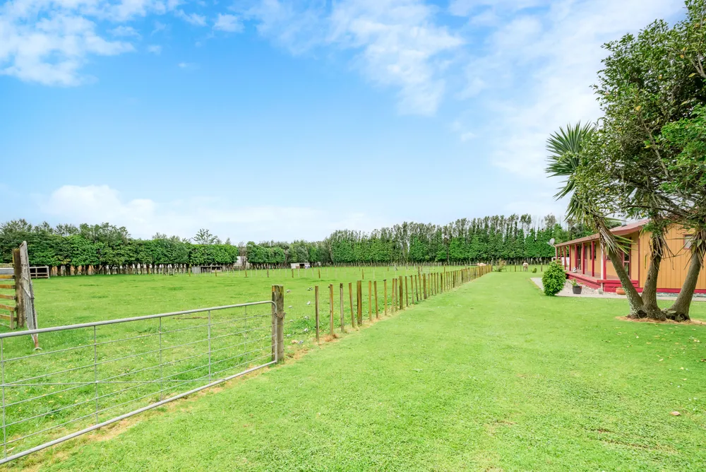 Photos of 12 Tui Glen Drive