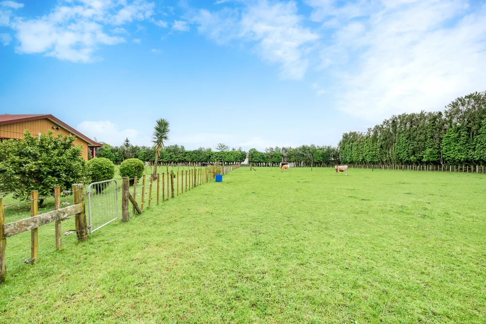 Photos of 12 Tui Glen Drive