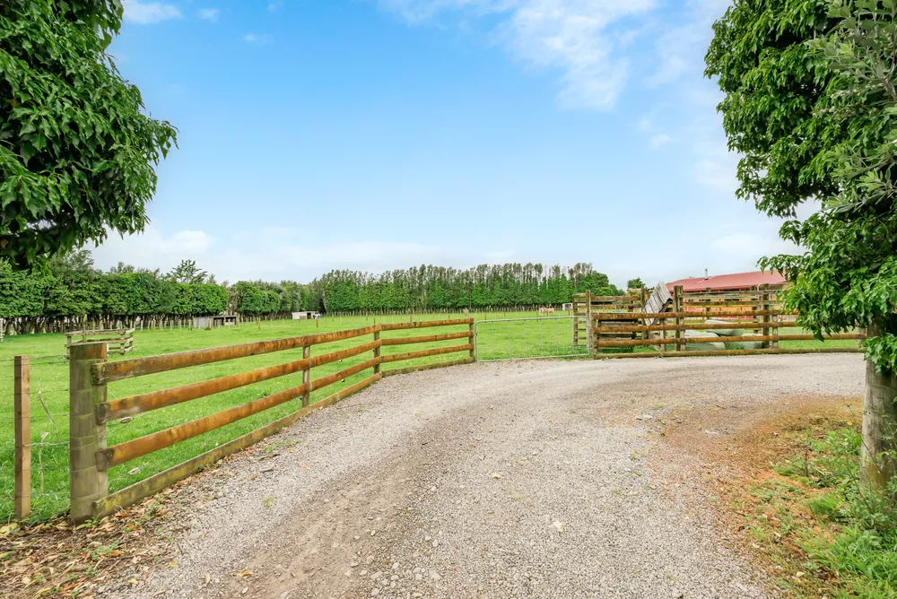 Photos of 12 Tui Glen Drive
