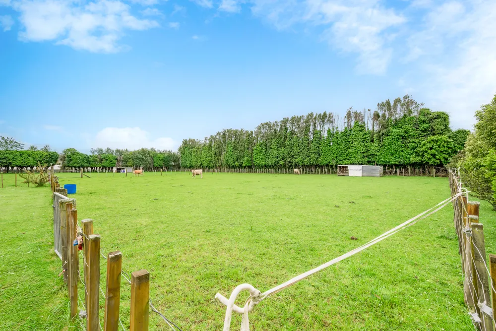 Photos of 12 Tui Glen Drive