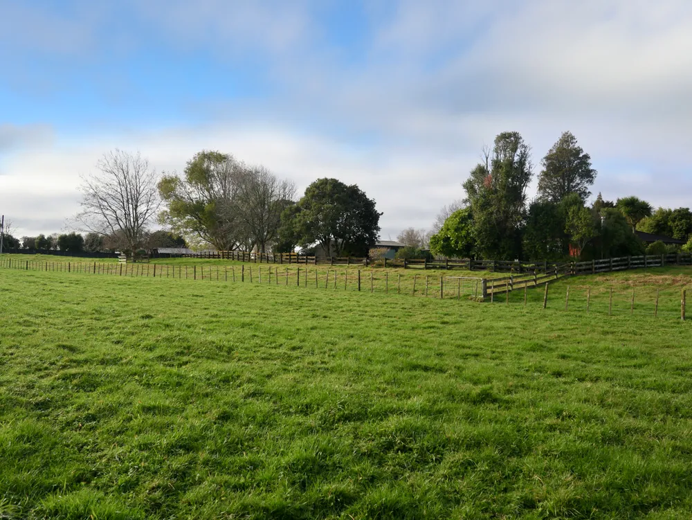 Photos of 111 Pearson Road
