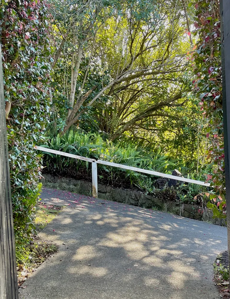 Photos of 17 Shera Road