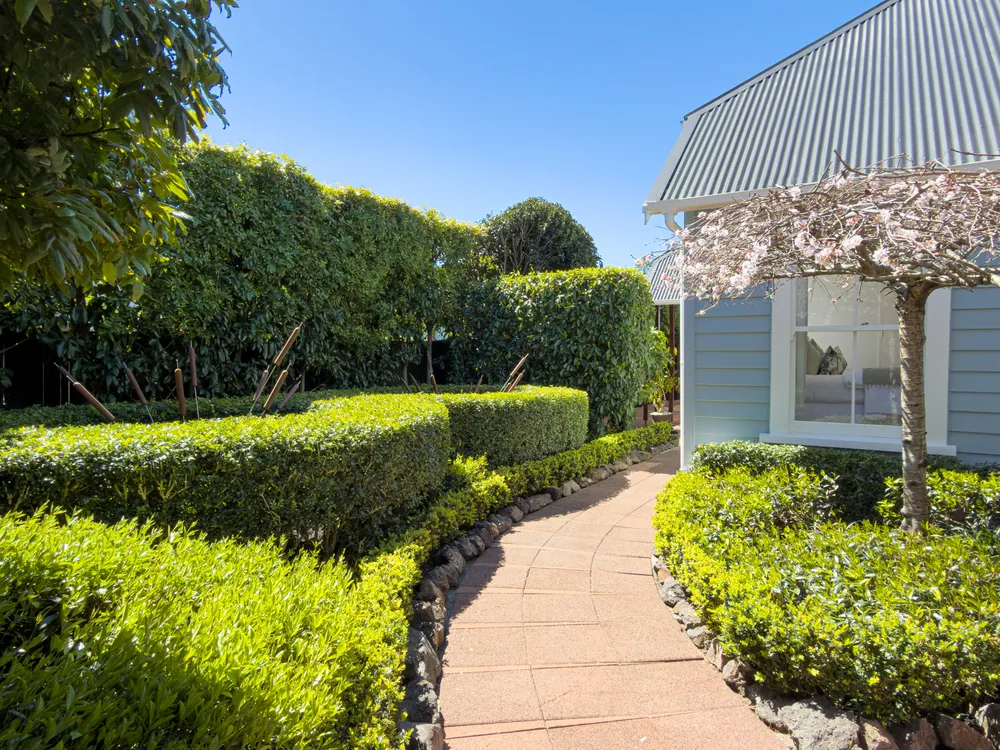 Photos of 76 St Vincent Avenue