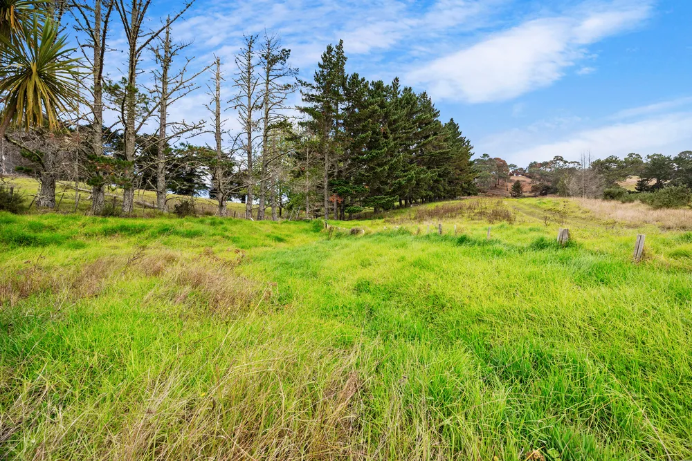 Photos of 411 Pine Valley Road