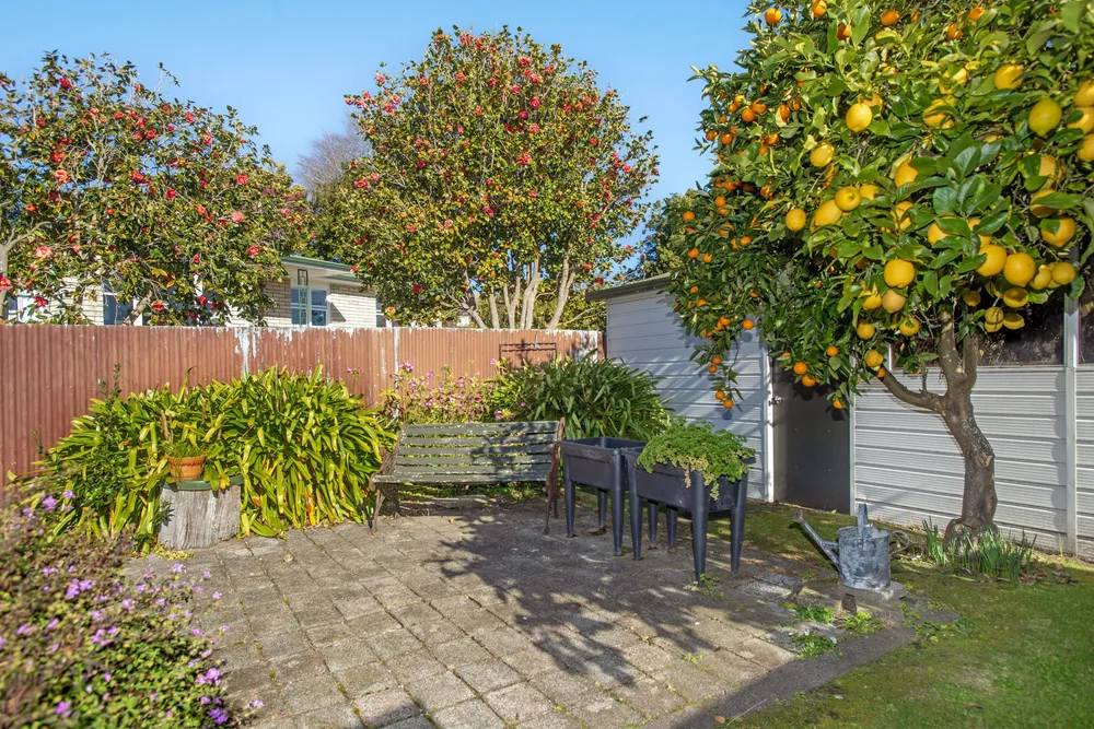 Photos of 31 Marian Drive