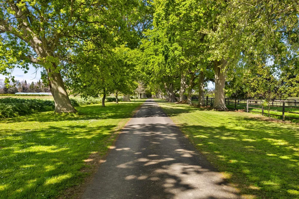 Photos of 491E Bruntwood Road