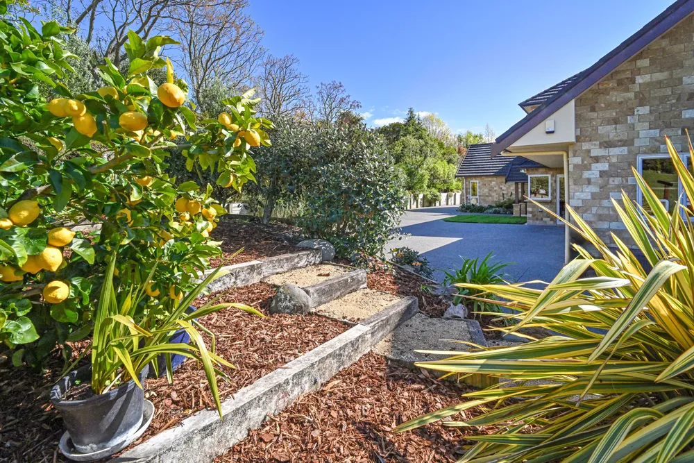 Photos of 132 Tauroa Road