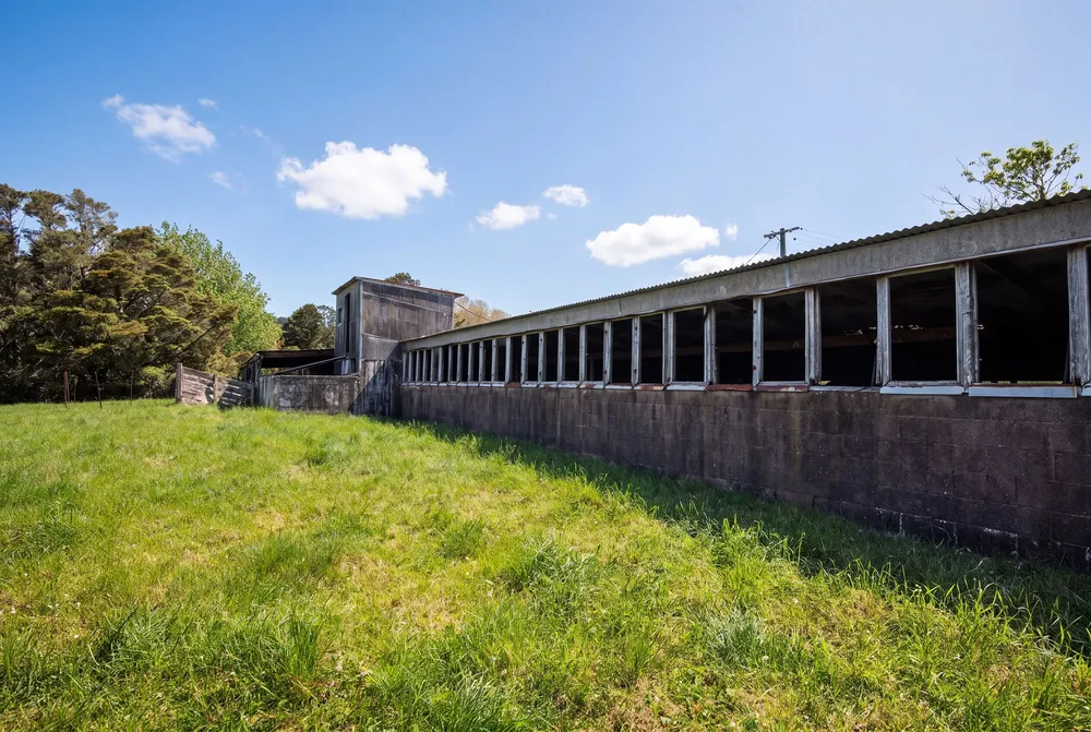 Photos of 183 McLennan Road