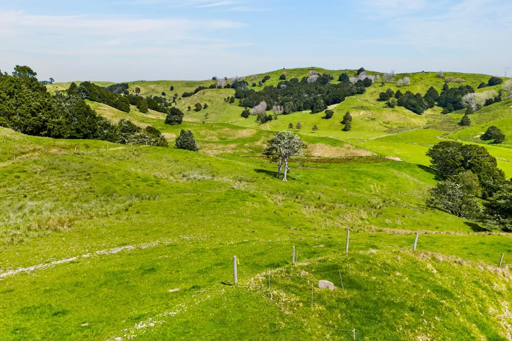 Photos of 1334 Pukehuia Road